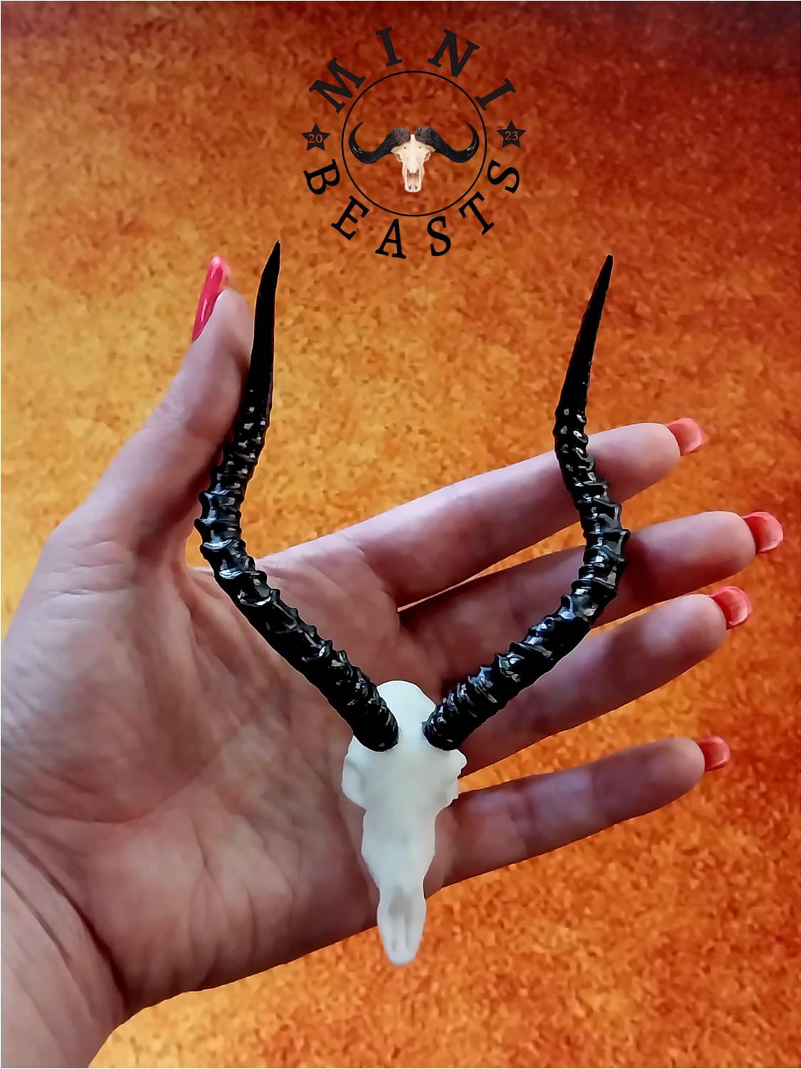 WhatsApp Image 2023-11-07 at 22.17.56 (1)