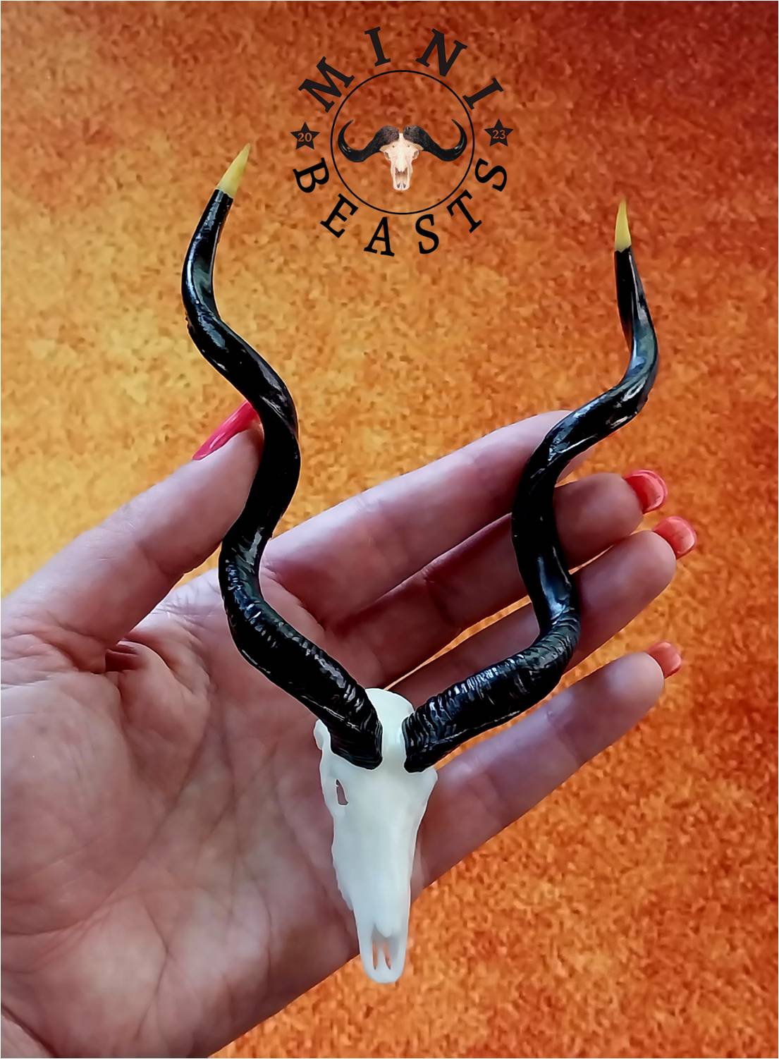 WhatsApp Image 2023-11-07 at 22.17.57 (2)