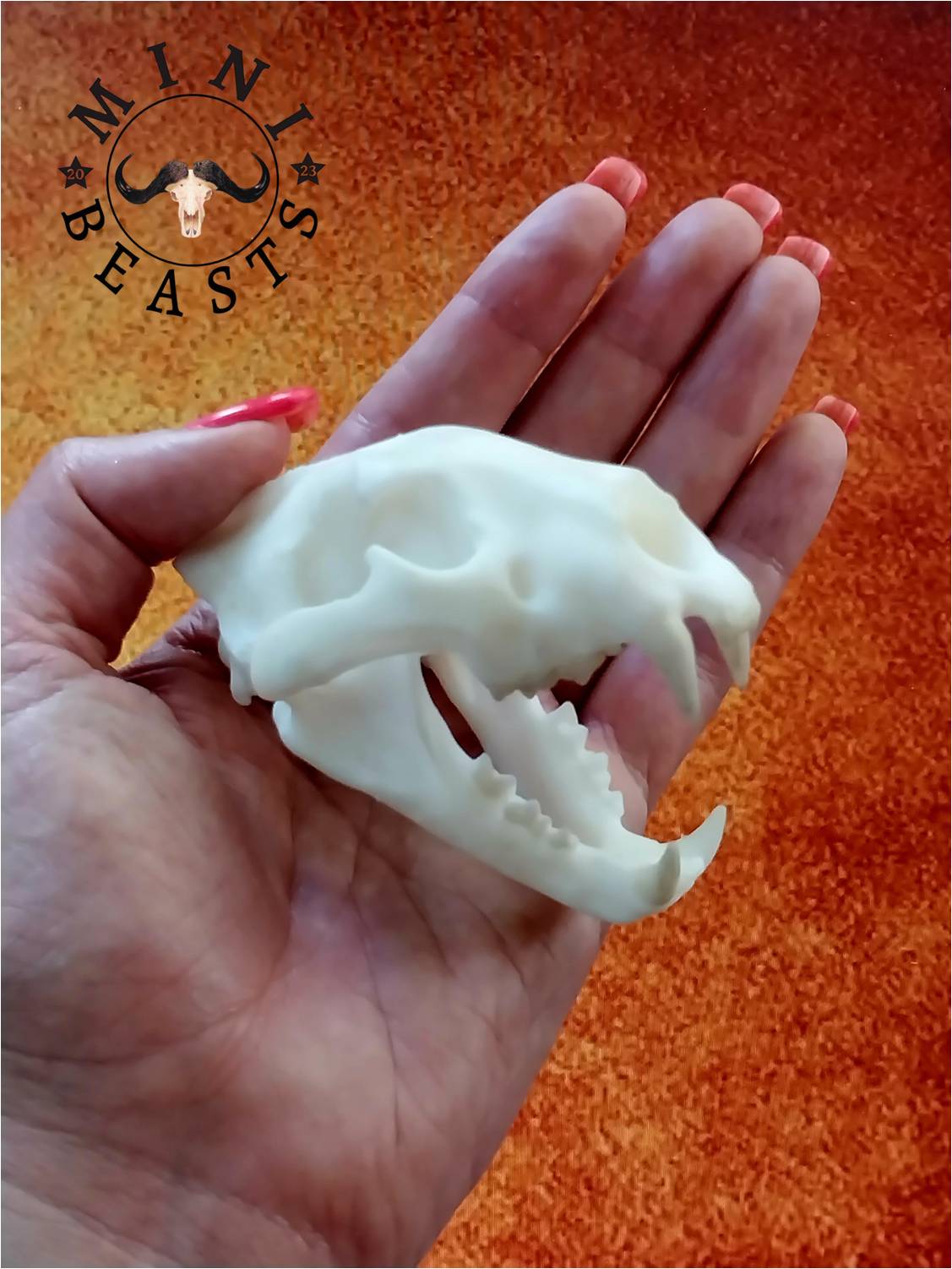 WhatsApp Image 2023-11-07 at 22.17.57 (3)