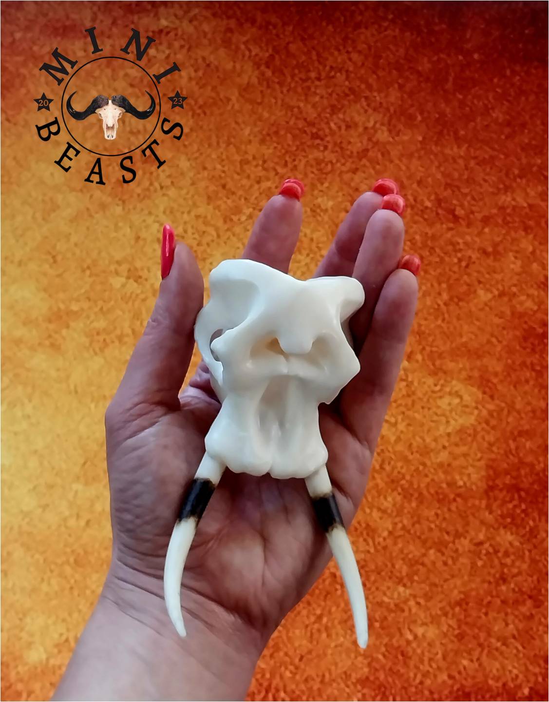 WhatsApp Image 2023-11-07 at 22.17.58